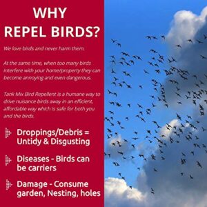 Flock Free Bird Repellent Spray, Residential Bird Problem Solution Bird Control, 4 oz Concentrate (1)