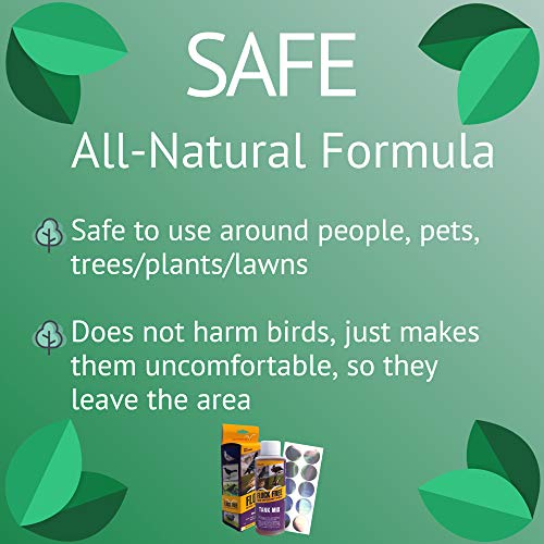 Flock Free Bird Repellent Spray, Residential Bird Problem Solution Bird Control, 4 oz Concentrate (1)