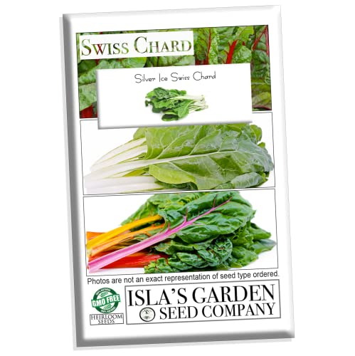 Silver Ice Swiss Chard, 300 Heirloom Seeds Per Packet, (Isla's Garden Seeds), Non GMO Seeds, Botanical Name: Beta vulgaris VAR. cicla