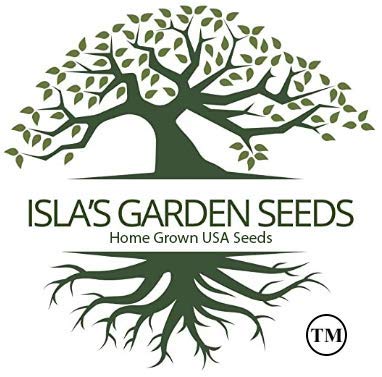 Silver Ice Swiss Chard, 300 Heirloom Seeds Per Packet, (Isla's Garden Seeds), Non GMO Seeds, Botanical Name: Beta vulgaris VAR. cicla