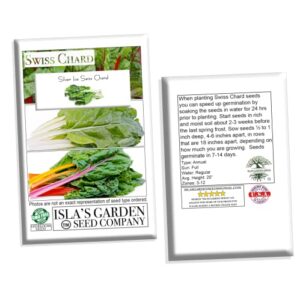 Silver Ice Swiss Chard, 300 Heirloom Seeds Per Packet, (Isla's Garden Seeds), Non GMO Seeds, Botanical Name: Beta vulgaris VAR. cicla