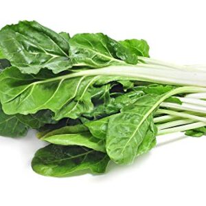 Silver Ice Swiss Chard, 300 Heirloom Seeds Per Packet, (Isla's Garden Seeds), Non GMO Seeds, Botanical Name: Beta vulgaris VAR. cicla