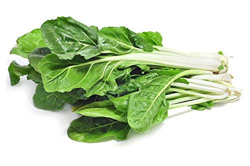 Silver Ice Swiss Chard, 300 Heirloom Seeds Per Packet, (Isla's Garden Seeds), Non GMO Seeds, Botanical Name: Beta vulgaris VAR. cicla