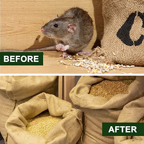 TSCTBA Rodent Repellent, Mouse Repellent, Mice Repellent for House, Peppermint to Repel Mice, Mouse and Rats, Natural Rodent Repellent Indoor and Outdoor, Effective and Long Lasting -10 Packs