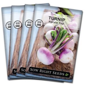 sow right seeds – purple top white globe turnip seed for planting – non-gmo heirloom packet with instructions to plant a home vegetable garden (4)