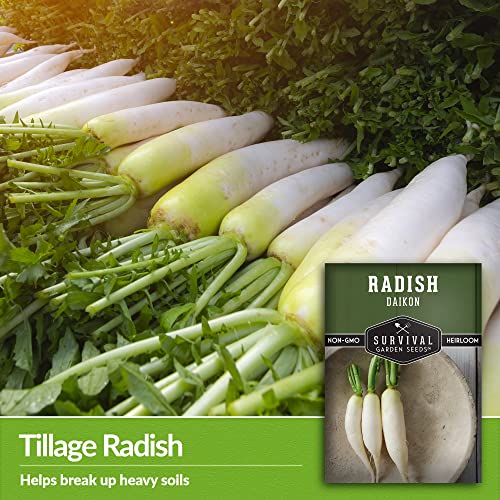 Survival Garden Seeds - Daikon Radish Seed for Planting - Packet with Instructions to Plant and Grow Japanese Radish Vegetables in Your Home Vegetable Garden - Non-GMO Heirloom Variety