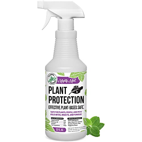 Mighty Mint 32oz Plant Protection Peppermint Spray for Spider Mites, Insects, Fungus, and Disease