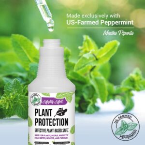 Mighty Mint 32oz Plant Protection Peppermint Spray for Spider Mites, Insects, Fungus, and Disease