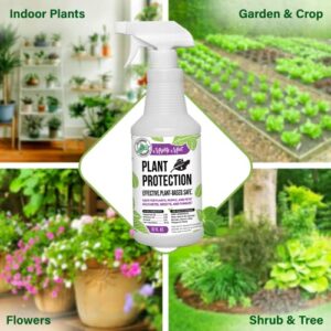 Mighty Mint 32oz Plant Protection Peppermint Spray for Spider Mites, Insects, Fungus, and Disease