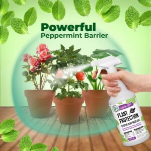 Mighty Mint 32oz Plant Protection Peppermint Spray for Spider Mites, Insects, Fungus, and Disease