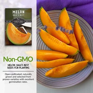 Survival Garden Seeds - Hale's Best Melon Seed for Planting - Grow Juicy Cantaloupe for Eating - 3 Packs with Instructions to Plant in Your Home Vegetable Garden - Non-GMO Heirloom Variety