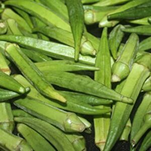 TKE Farms-Clemson Spineless Okra Seeds for Planting, 6 Grams ≈ 100 Seeds, Abelmoschus esculentus