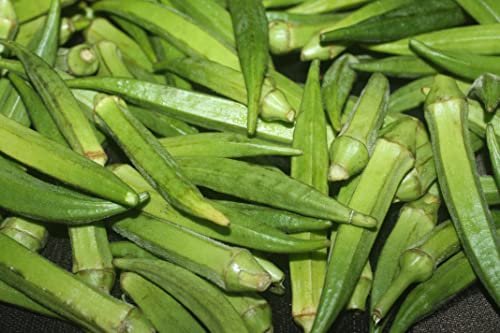 TKE Farms-Clemson Spineless Okra Seeds for Planting, 6 Grams ≈ 100 Seeds, Abelmoschus esculentus