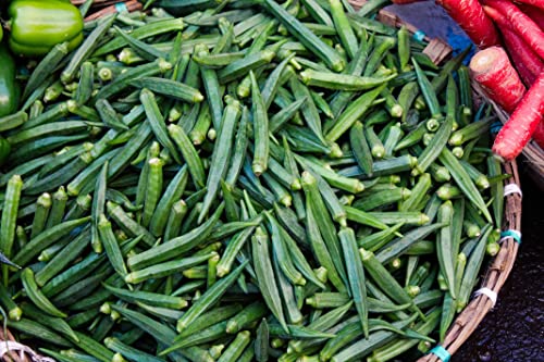 TKE Farms-Clemson Spineless Okra Seeds for Planting, 6 Grams ≈ 100 Seeds, Abelmoschus esculentus