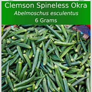 TKE Farms-Clemson Spineless Okra Seeds for Planting, 6 Grams ≈ 100 Seeds, Abelmoschus esculentus