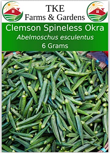 TKE Farms-Clemson Spineless Okra Seeds for Planting, 6 Grams ≈ 100 Seeds, Abelmoschus esculentus