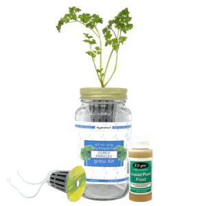 curly parsley herb growing kit by hydrohort | growing parsley seeds is easy with our mason jar herb garden starter kit | parsley seeds for planting are perfect in our herb kit