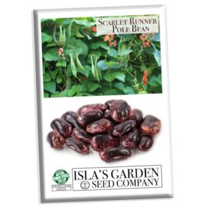 scarlet runner pole bean seeds for planting, 25+ heirloom seeds per packet, (isla’s garden seeds), non gmo seeds, botanical name: phaseolus coccineus, great home garden gift
