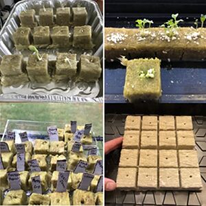 Garden Rockwool Grow Cubes Starter Plugs,for Soilless Culture, Seed Starter, Ideal Hydroponic Grow Media (1.5in-49pcs)