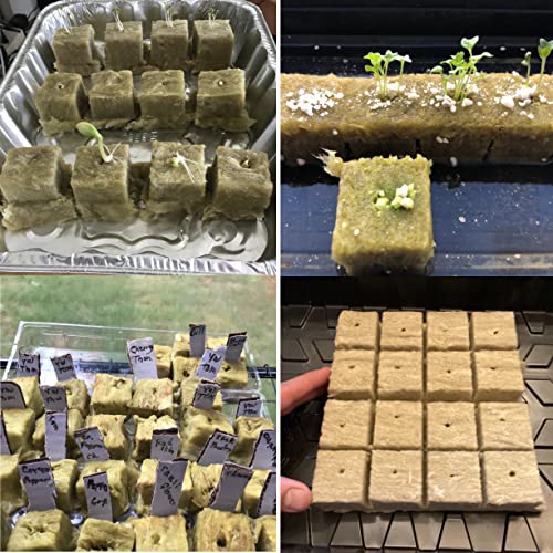 Garden Rockwool Grow Cubes Starter Plugs,for Soilless Culture, Seed Starter, Ideal Hydroponic Grow Media (1.5in-49pcs)