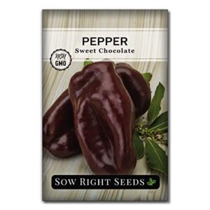 sow right seeds – sweet chocolate bell pepper seed for planting – non-gmo heirloom packet with instructions to plant a home vegetable garden