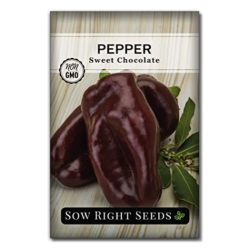 Sow Right Seeds - Sweet Chocolate Bell Pepper Seed for Planting - Non-GMO Heirloom Packet with Instructions to Plant a Home Vegetable Garden