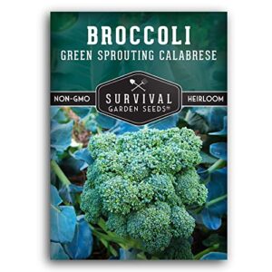 survival garden seeds – green sprouting calabrese broccoli for planting – packet with instructions to plant and grow delicious superfood veggies your home vegetable garden – non-gmo heirloom variety