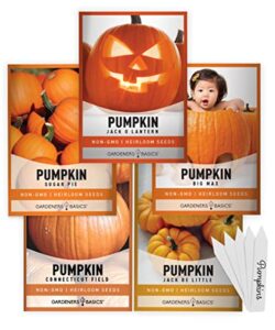 pumpkin seeds to plant – 5 variety baby boo, giant big max, jack be little, jack o lantern, sugar pie, great for pumpkin seed for summer, fall, pumpkin seeds for planting by gardeners basics