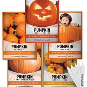 Pumpkin Seeds to Plant - 5 Variety Baby Boo, Giant Big Max, Jack Be Little, Jack O Lantern, Sugar Pie, Great for Pumpkin Seed for Summer, Fall, Pumpkin Seeds for Planting by Gardeners Basics