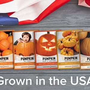 Pumpkin Seeds to Plant - 5 Variety Baby Boo, Giant Big Max, Jack Be Little, Jack O Lantern, Sugar Pie, Great for Pumpkin Seed for Summer, Fall, Pumpkin Seeds for Planting by Gardeners Basics