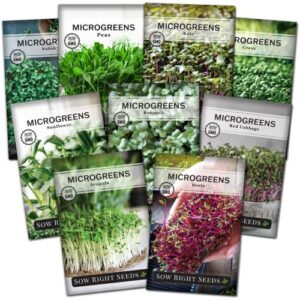 sow right seeds – microgreens seed sample pack – 9 packets of healthy superfoods to sprout and grow indoors on your kitchen counter. broccoli, cress, sunflower, arugula, kale, radish, pea, and more