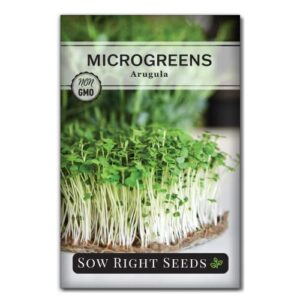 Sow Right Seeds - Microgreens Seed Sample Pack - 9 Packets of Healthy Superfoods to Sprout and Grow Indoors on Your Kitchen Counter. Broccoli, Cress, Sunflower, Arugula, Kale, Radish, Pea, and More