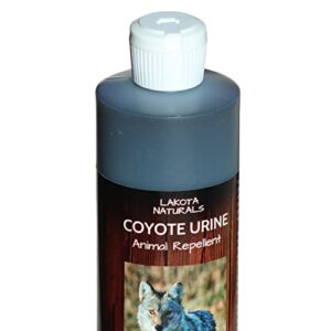 lakota naturals coyote urine all natural animal & rodent repellent – makes it seem like a coyote is nearby!
