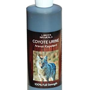 Lakota Naturals Coyote Urine All Natural Animal & Rodent Repellent - Makes It Seem Like a Coyote is Nearby!