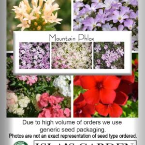 Mountain Phlox Flower Seeds, 1000+ Flower Seeds Per Packet, Non GMO & Heirloom Seeds, (Isla's Garden Seeds), Scientific Name: Phlox stansburyi