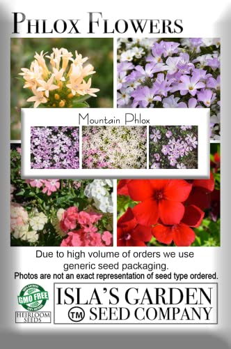 Mountain Phlox Flower Seeds, 1000+ Flower Seeds Per Packet, Non GMO & Heirloom Seeds, (Isla's Garden Seeds), Scientific Name: Phlox stansburyi