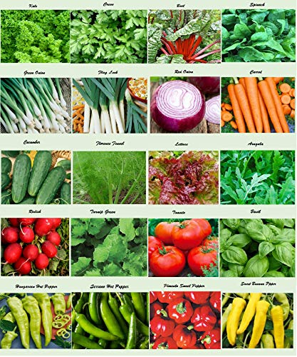 Set of 20 Assorted Organic Vegetable Seeds & Herb Seeds for Planting 20 Varieties Create a Deluxe Garden All Seeds are Heirloom, 100% Non-GMO Lettuce Seeds, Sweet & Hot Pepper Seeds, Green Onion Seeds