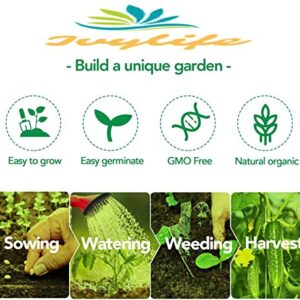 Set of 20 Assorted Organic Vegetable Seeds & Herb Seeds for Planting 20 Varieties Create a Deluxe Garden All Seeds are Heirloom, 100% Non-GMO Lettuce Seeds, Sweet & Hot Pepper Seeds, Green Onion Seeds