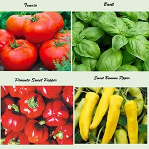 Set of 20 Assorted Organic Vegetable Seeds & Herb Seeds for Planting 20 Varieties Create a Deluxe Garden All Seeds are Heirloom, 100% Non-GMO Lettuce Seeds, Sweet & Hot Pepper Seeds, Green Onion Seeds