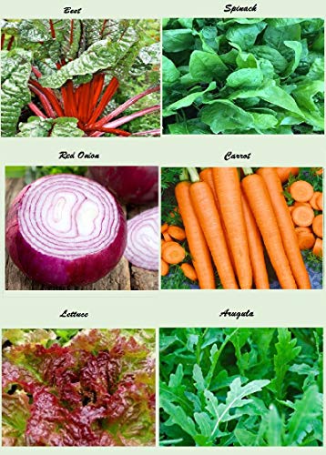 Set of 20 Assorted Organic Vegetable Seeds & Herb Seeds for Planting 20 Varieties Create a Deluxe Garden All Seeds are Heirloom, 100% Non-GMO Lettuce Seeds, Sweet & Hot Pepper Seeds, Green Onion Seeds