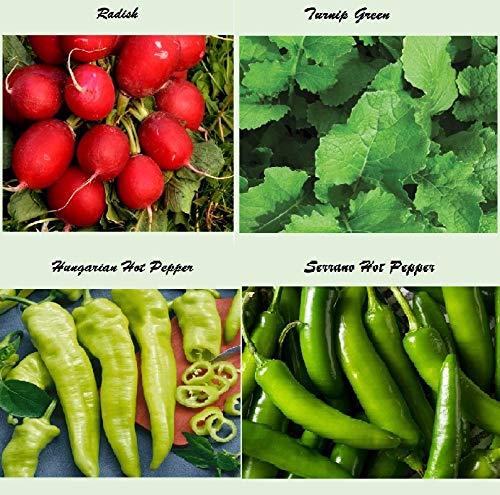 Set of 20 Assorted Organic Vegetable Seeds & Herb Seeds for Planting 20 Varieties Create a Deluxe Garden All Seeds are Heirloom, 100% Non-GMO Lettuce Seeds, Sweet & Hot Pepper Seeds, Green Onion Seeds