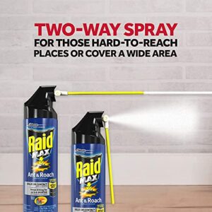 Raid Max Ant and Roach Spray (14.5 Ounce (Pack of 3))