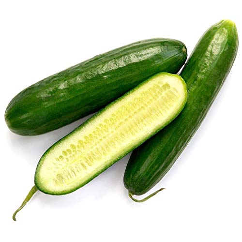 Cucumber Garden Sweet Burpless Heirloom Seeds Bin48 (30 Seeds, or 1 Gram)