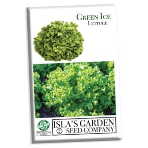 green ice leaf lettuce seeds for planting, 1000+ heirloom seeds per packet, (isla’s garden seeds), non gmo seeds, botanical name: lactuca sativa, great home garden gift