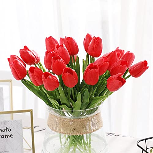 QAUZUY GARDEN Red Matador Jumbo Tulip 100 Seeds Liliaceae Perennial Showy Stunning Spring Bulbs Seeds for Garden Home Striking Flower Easy to Grow