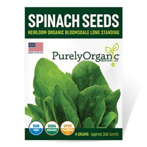 purely organic spinach seeds (bloomsdale long standing) – approx 300 seeds – certified organic, non-gmo, open pollinated, heirloom, usa origin