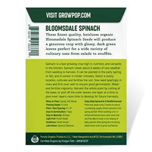 Purely Organic Spinach Seeds (Bloomsdale Long Standing) - Approx 300 Seeds - Certified Organic, Non-GMO, Open Pollinated, Heirloom, USA Origin