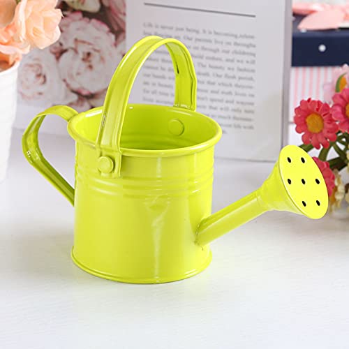 SMLJFO Watering Can for Indoor Outdoor Plants, Modern Style Watering Pot with Handle Sprinkler Head Iron House Garden Flower Long Spout Shower Pink 5.1in