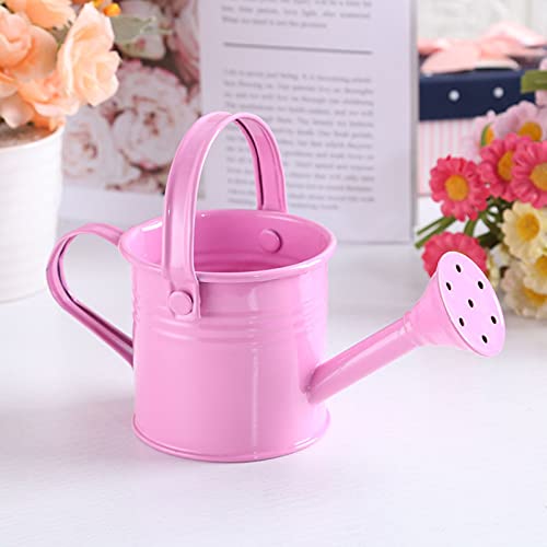 SMLJFO Watering Can for Indoor Outdoor Plants, Modern Style Watering Pot with Handle Sprinkler Head Iron House Garden Flower Long Spout Shower Pink 5.1in