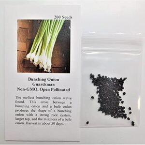 David's Garden Seeds Bunching Onion Guardsman FBA-2136 (White) 200 Non-GMO, Open Pollinated Seeds